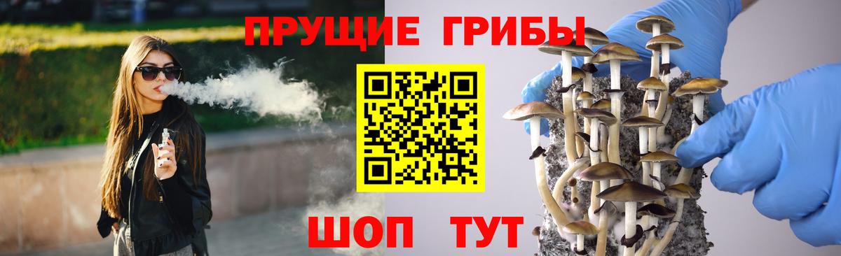 Псилоцибиновые грибы Psilocybe  Вход с VPN  продажа наркотиков  Лесозаводск 